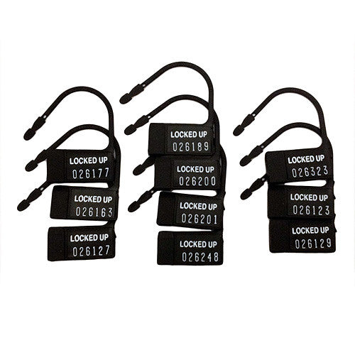 CB Chastity Plastic Numbered Security Tags 10 Pack