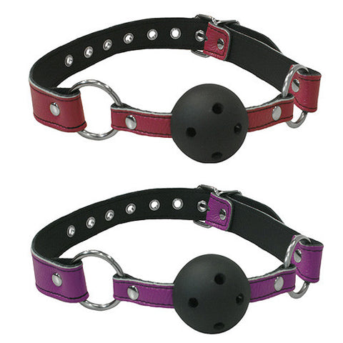 Bound to Tease Ball Gag