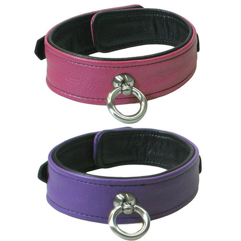 Bound to Tease Collar